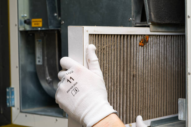 Best Air Duct Mold Removal  in Ashton Sandy Spring, MD