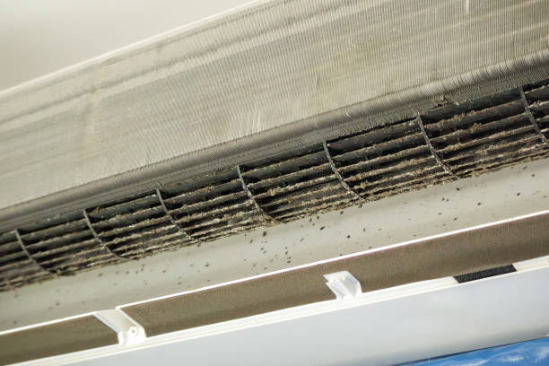 Best Emergency Air Duct Cleaning  in Ashton Sandy Spring, MD